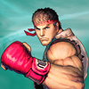 Icona Street Fighter IV Champion Edition