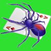 Icona Spider Solitaire