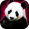 Icona Slots Lucky Panda Casino Slots