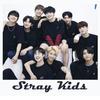 Icona STRAY KIDS: Matching Game