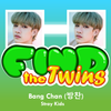 Icona Find the Twins (Bang Chan - Stray Kids)