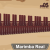 Icona Marimba, Xylophone, Vibraphone Real