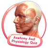 Icona Quiz Anatomia E Fisiologia Gioco