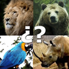 Icona Animals Quiz - Juego de animales