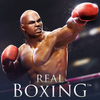 Icona Real Boxing