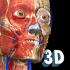 Icona Anatomy Learning - 3D Anatomy Atlas