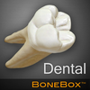 Icona BoneBox™ - Dental Lite