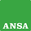 Icona Ansa Mobile